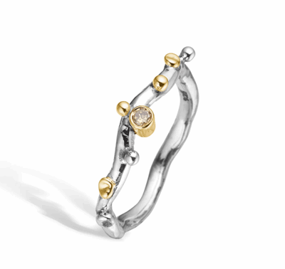 Grace single polished ring.PNG