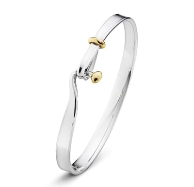 21-20000546-18 3531176_Torun_Bangle_204_Silver_YG.jpg