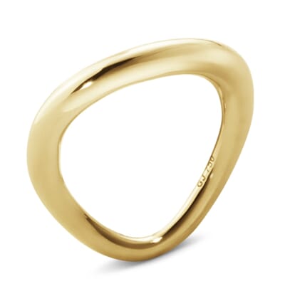 21-20000084-18 Offspring ring gull 1.jpg