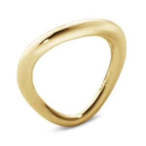 Offspring ring, gull