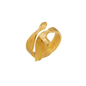 Ask Ring, Forgylt