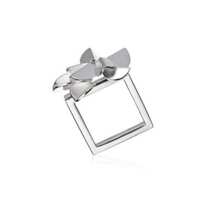 Karakoram Ring